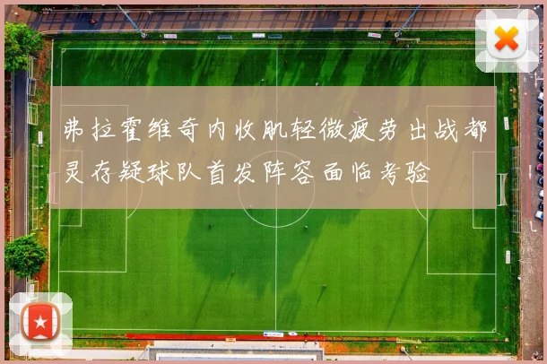 弗拉霍维奇内收肌轻微疲劳出战都灵存疑球队首发阵容面临考验