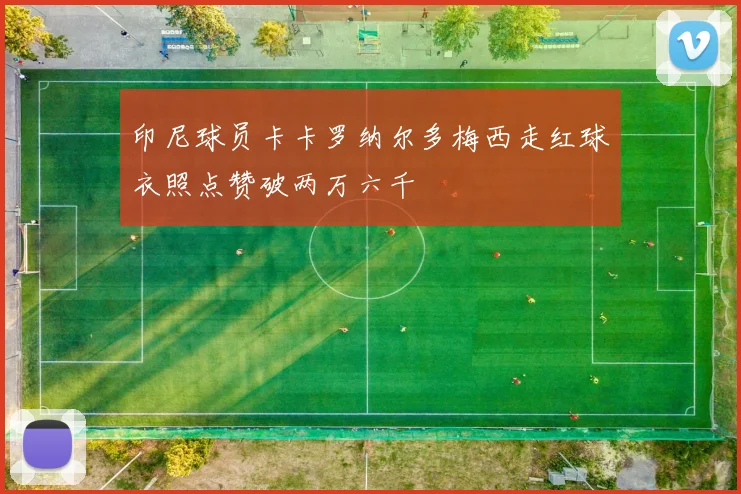 印尼球员卡卡罗纳尔多梅西走红球衣照点赞破两万六千